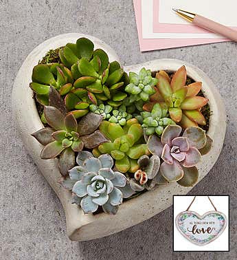 Sweet Succulent Heart Garden (Large with Plaque)